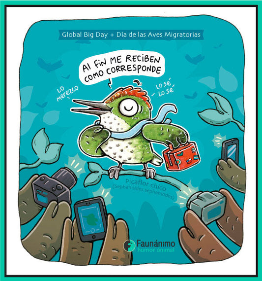 GLOBAL BIG DAY MIGRATORIO