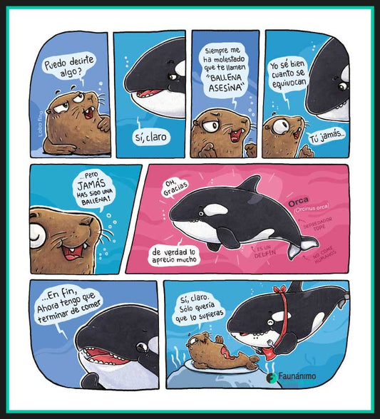 Orca