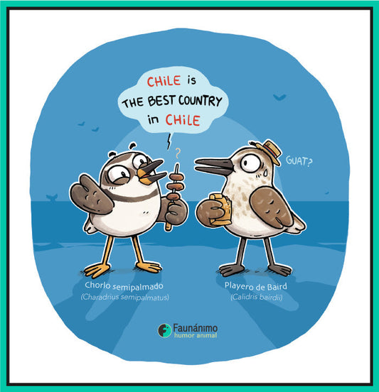 Chile Best Chile