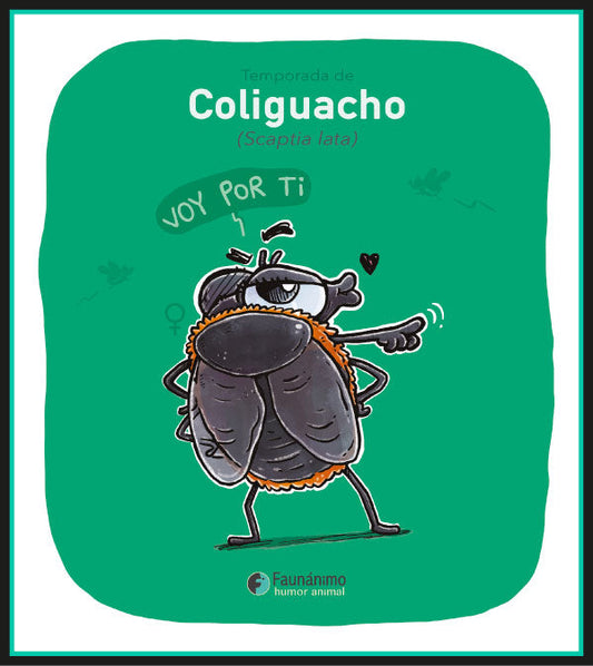 Coliguacho (Scaptia Lata)