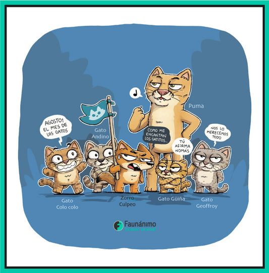 Felinos Agosto 24