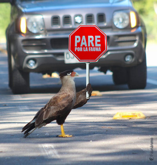 Pare por la fauna Real
