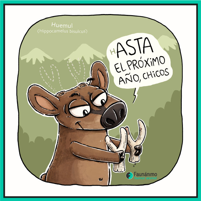 Huemul Astas Faunánimo Huemul Astas Faunánimo
