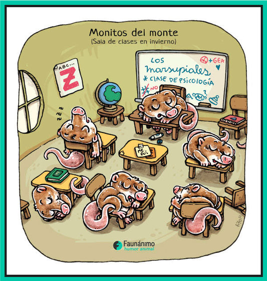 Monitos del monte en invierno