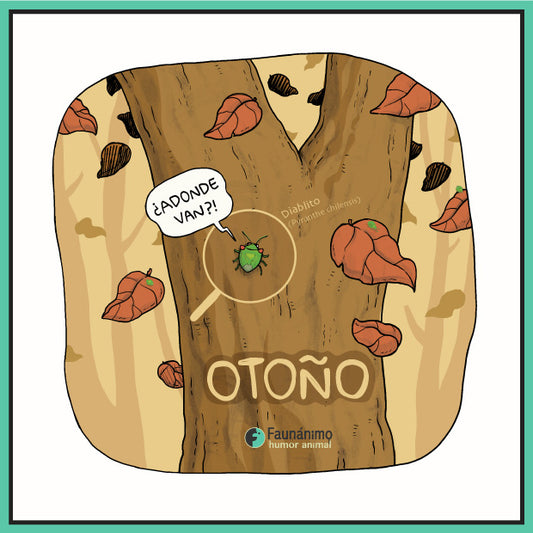Otoño 23