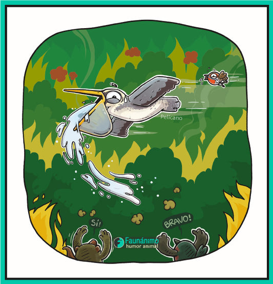 Pelícano e incendios