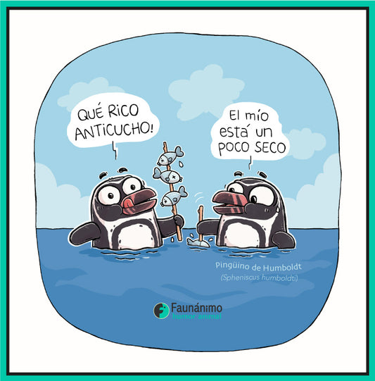 Pingüinos y anticuchos
