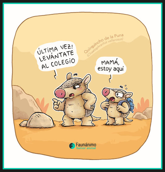 Quirquincho de la puna