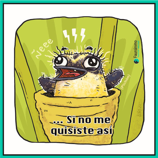 Sietecolores pichón