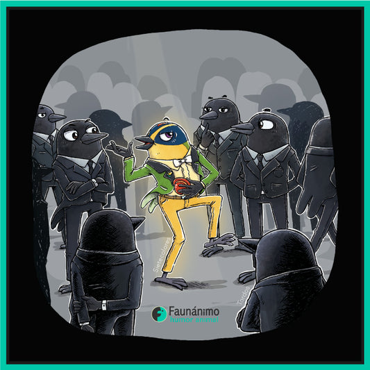 Sietecolores ft Tordos