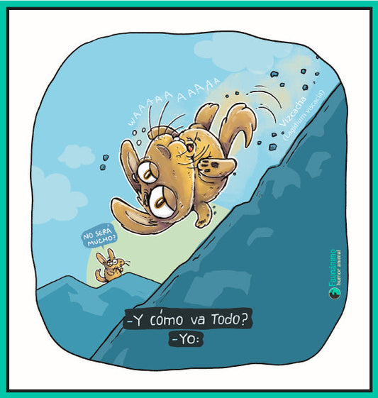 Vizcacha Cayendo