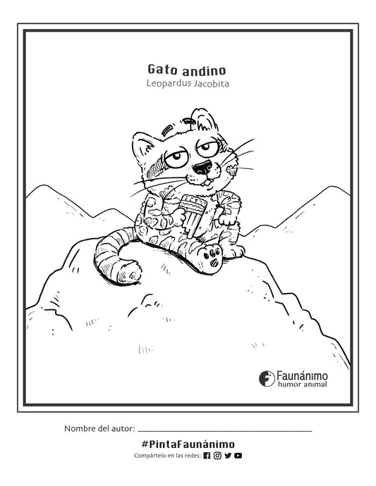 Gato Andino Coloreable | Dibujos para pintar