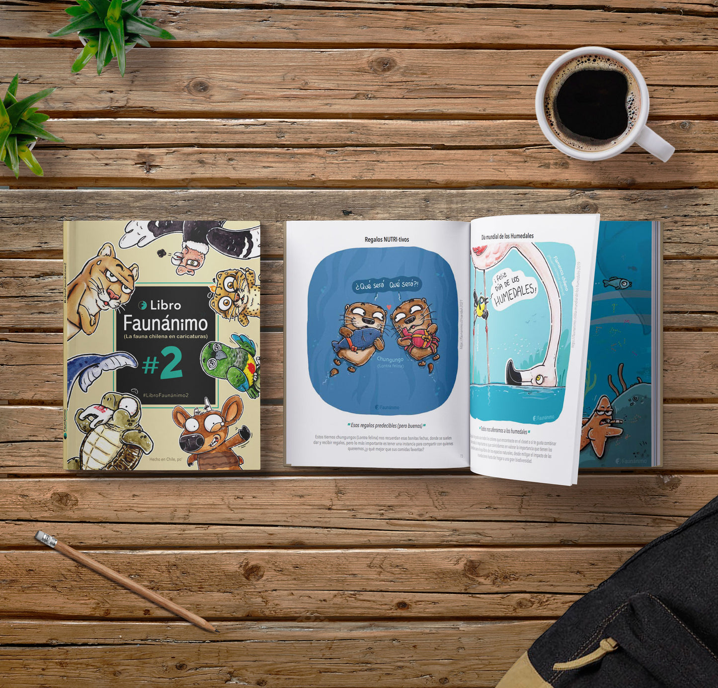 Pack 3 Libros A+Fx2