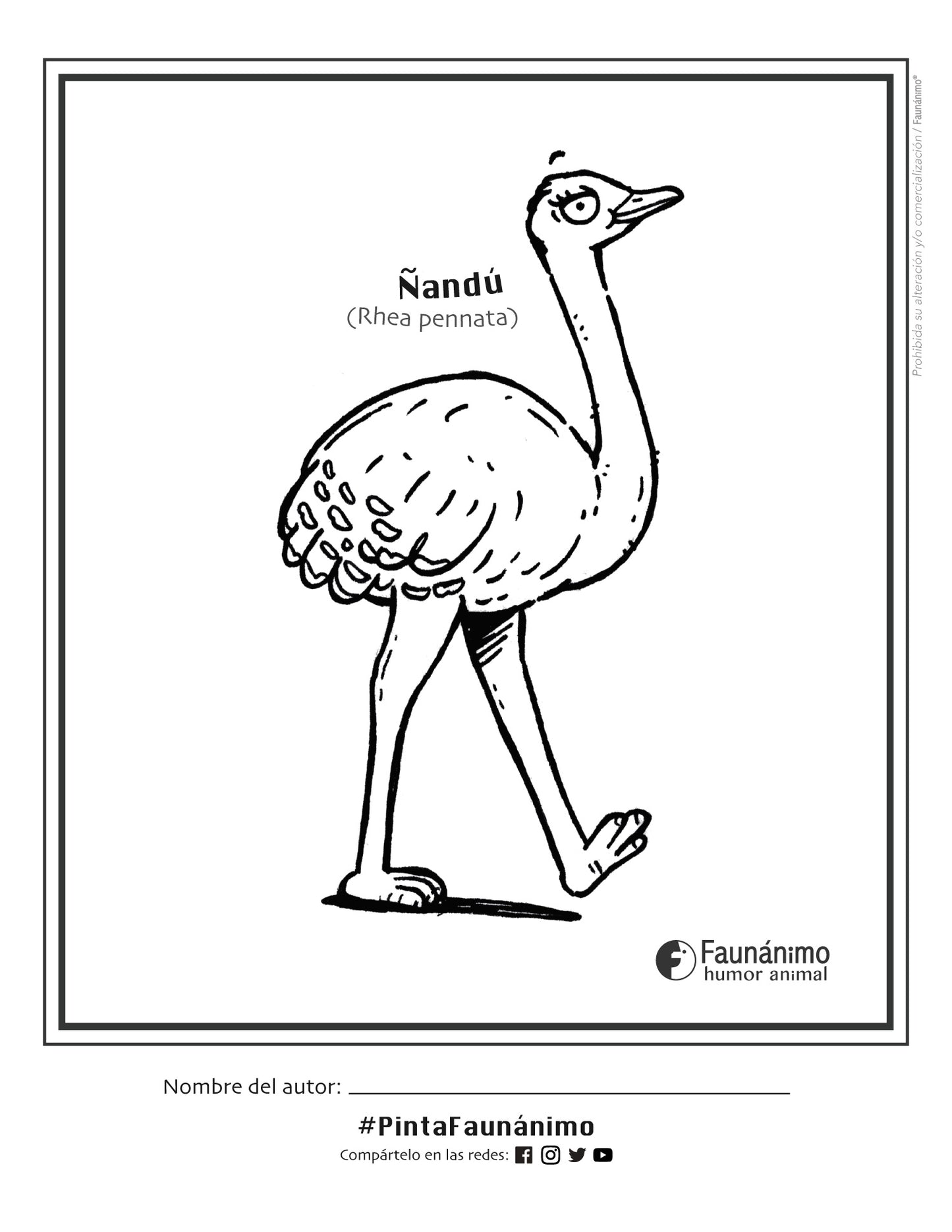 Ñandú Coloreable | Dibujos para pintar