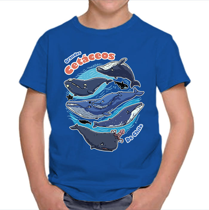 Polera niño – Cetáceos de Chile
