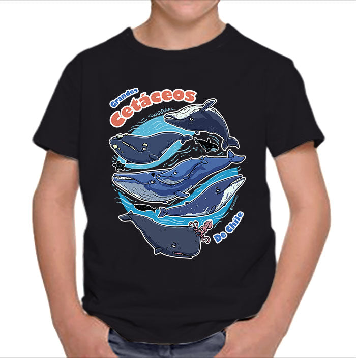 Polera niño – Cetáceos de Chile