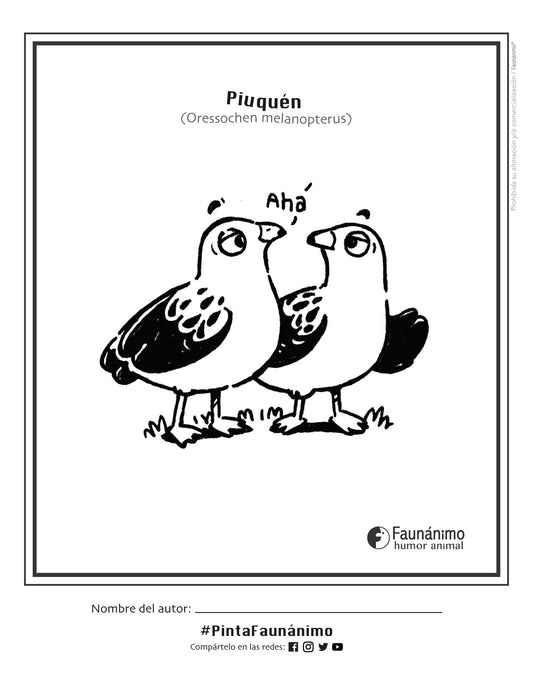 Piuquén Coloreable | Dibujos para pintar