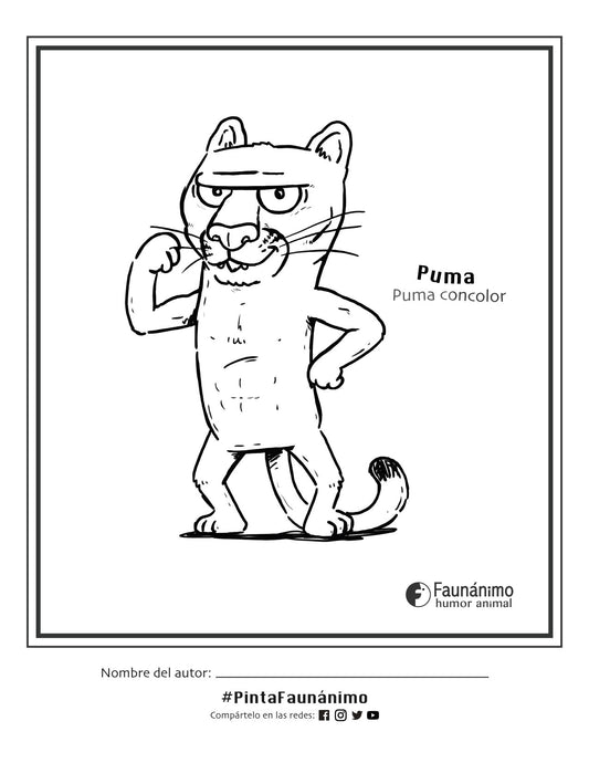 Puma Coloreable | Dibujos para pintar