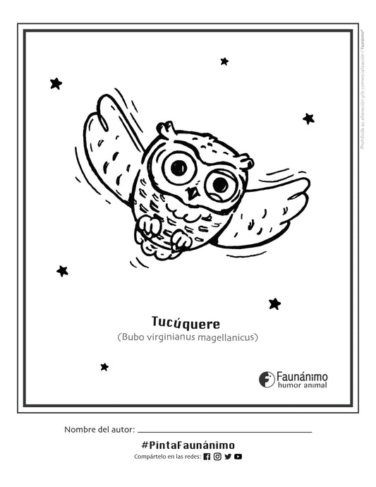 Tucúquere Coloreable | Dibujos para pintar