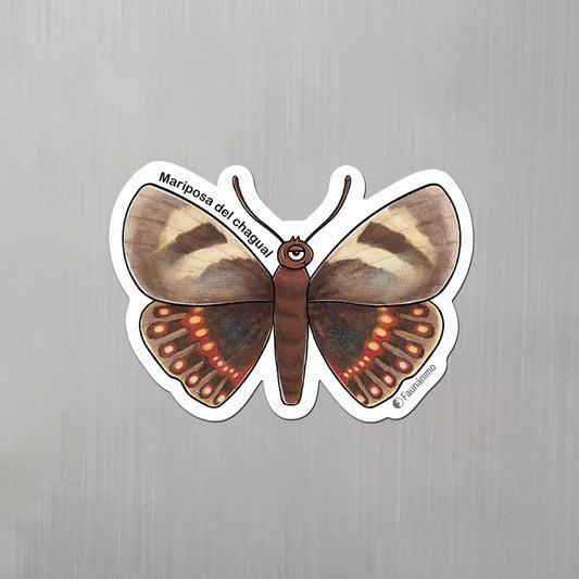 Imán trq – Mariposa del chagual
