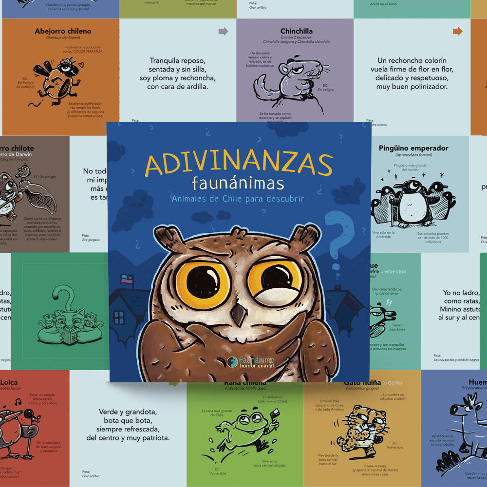 Pack Libro adv + Memorianimal + Set Stickers