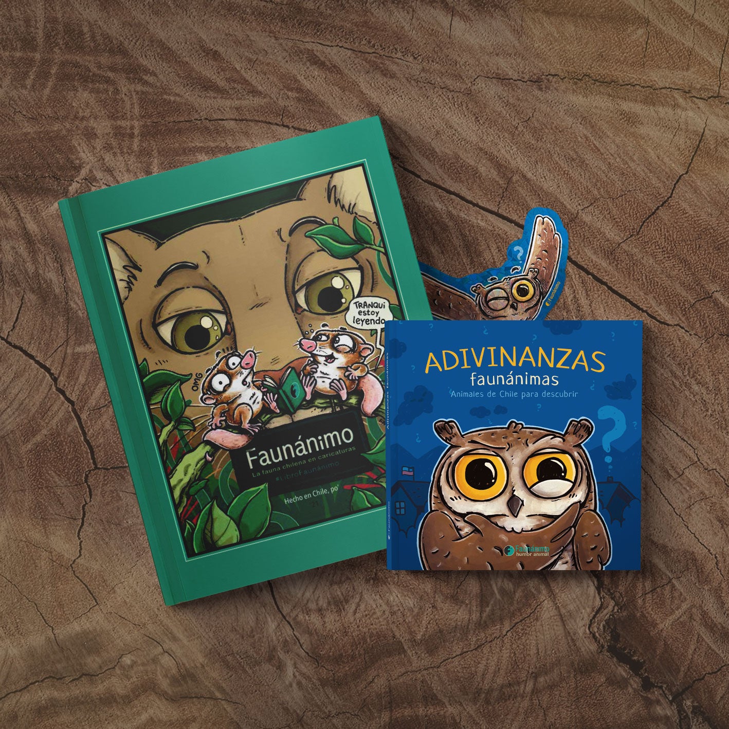 Pack 2 libros A+F