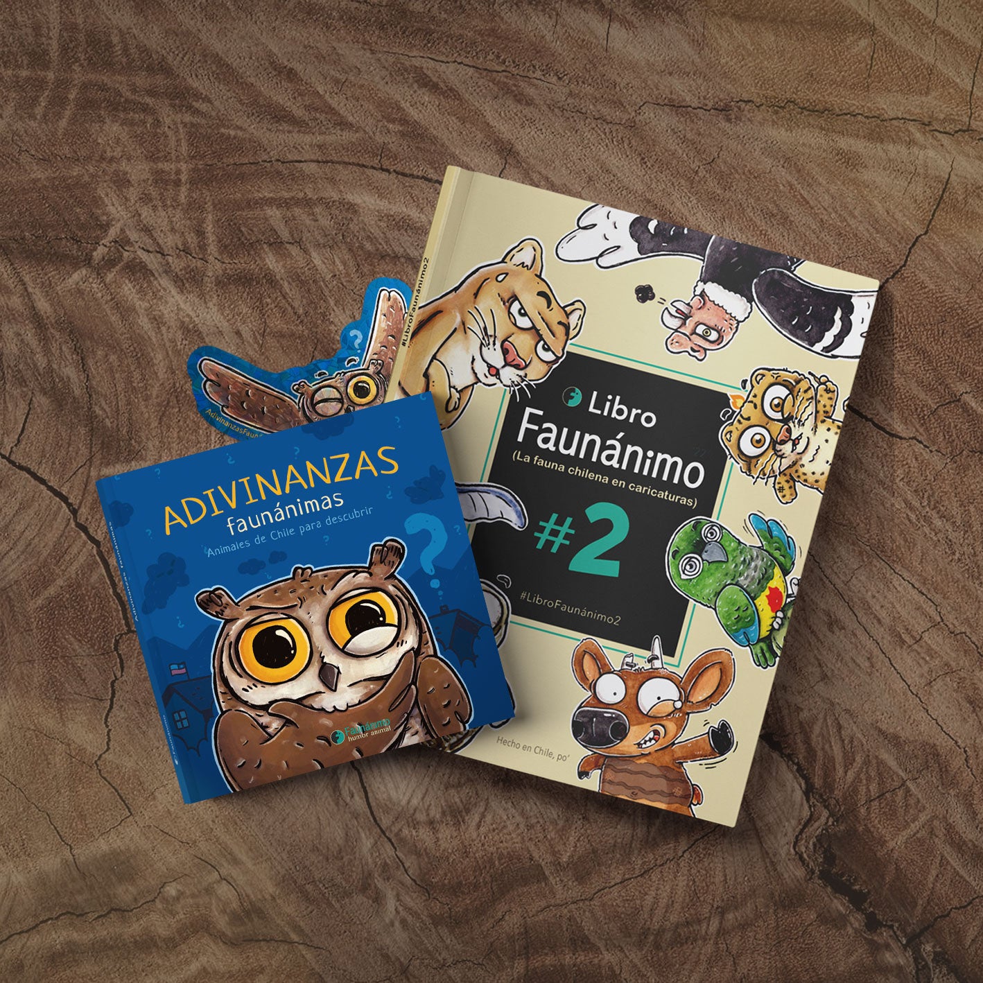 Pack 2 libros A+F