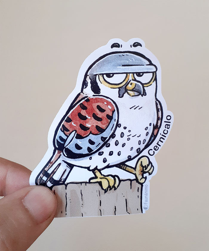 Sticker_tr1 – Cernícalo
