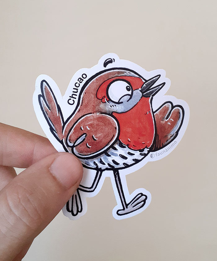 Set de 5 stickers-trq – B