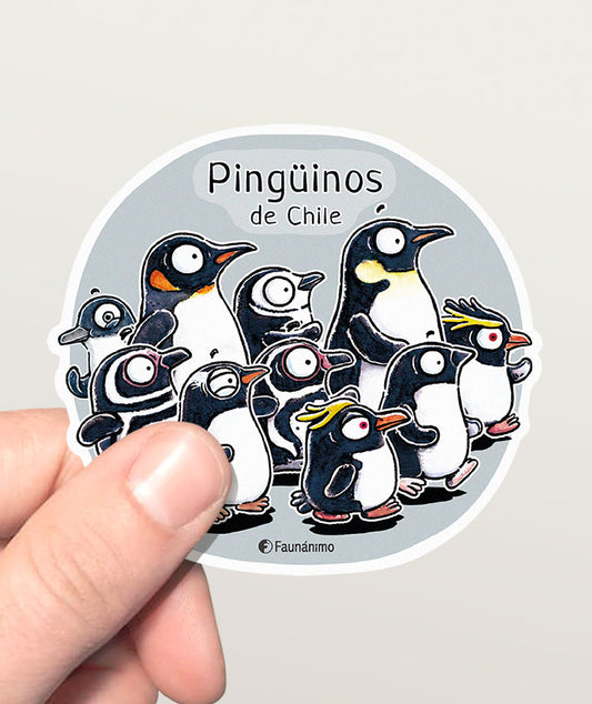 Sticker_tr1 – Pingüinos de Chile