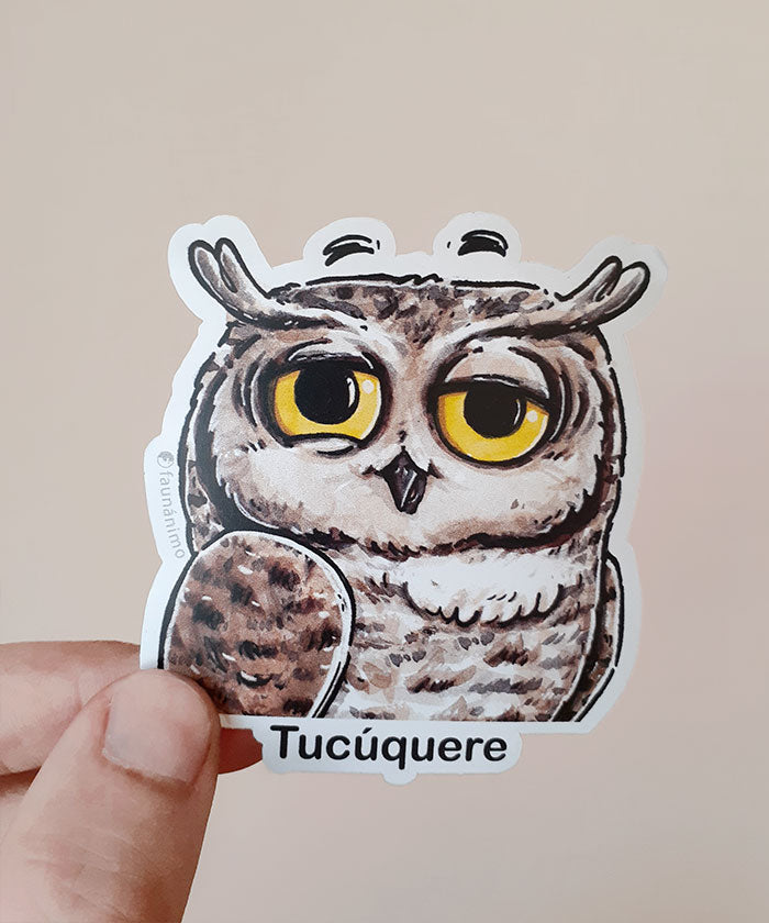 Set de 5 stickers-trq – B
