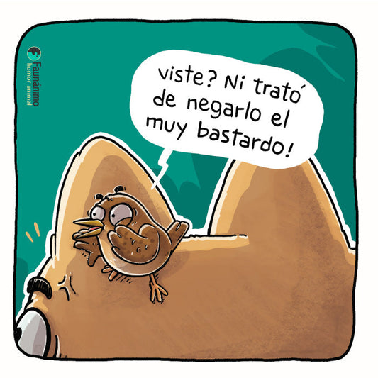 Me lo contó un pajarito