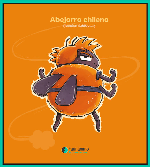 Abejorro gokú