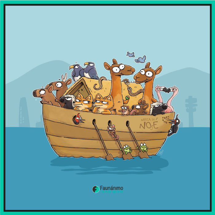 Arca de Nosé
