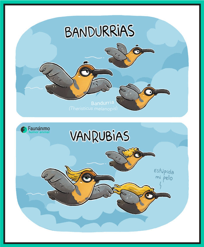 Bandurrias van rubias