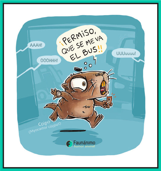 Coipo en el Mapocho