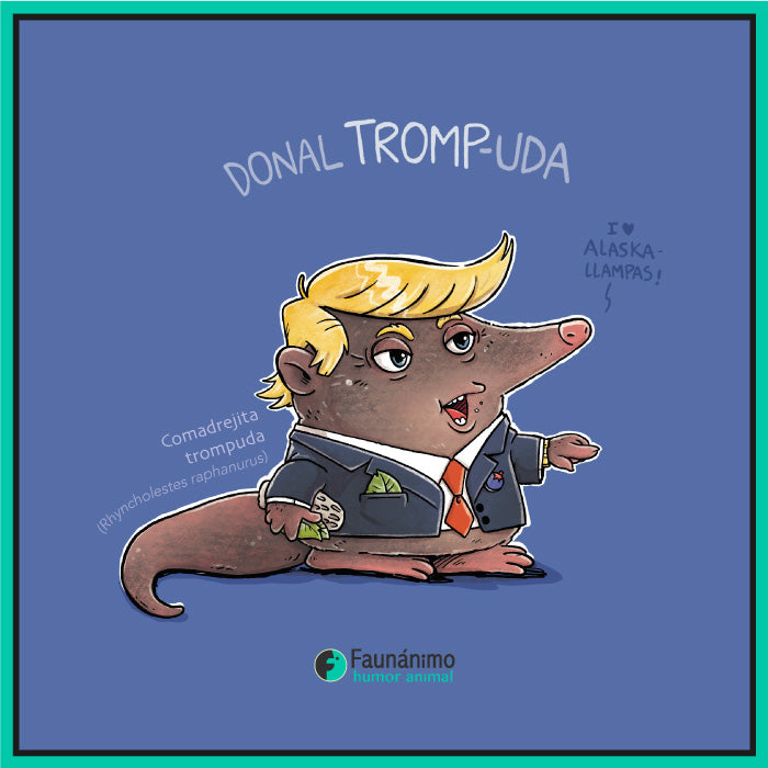 Comadrejita TROMP-uda