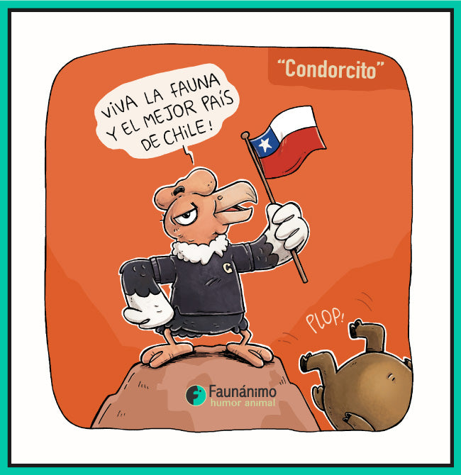 Condorcito fiestas patrias 23