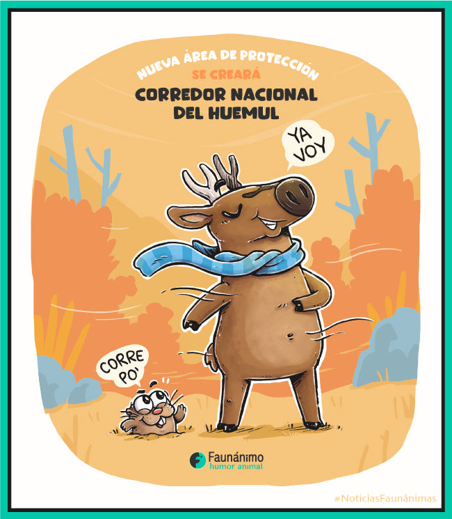 Corredor del huemul