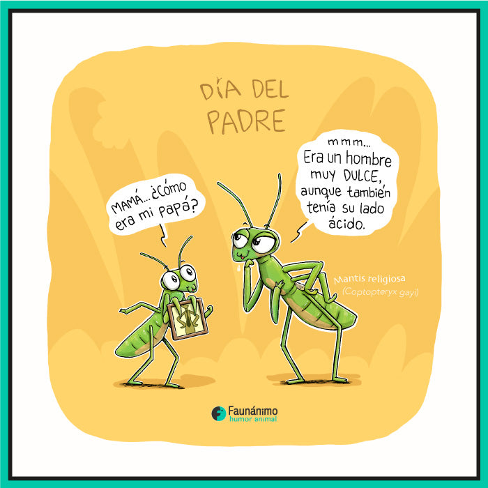 Mantis Día del padre 24