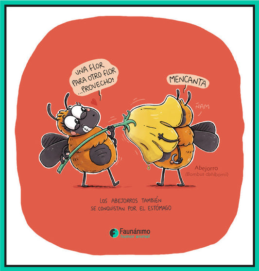 Día del amor 2025