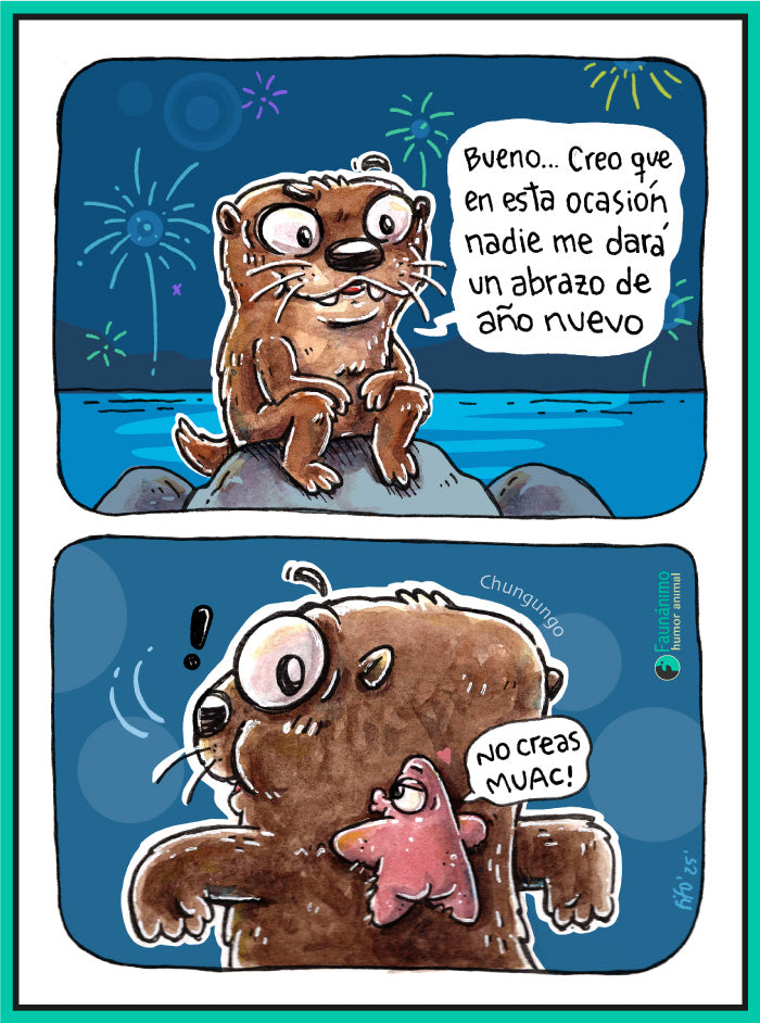 Fin de año 2025