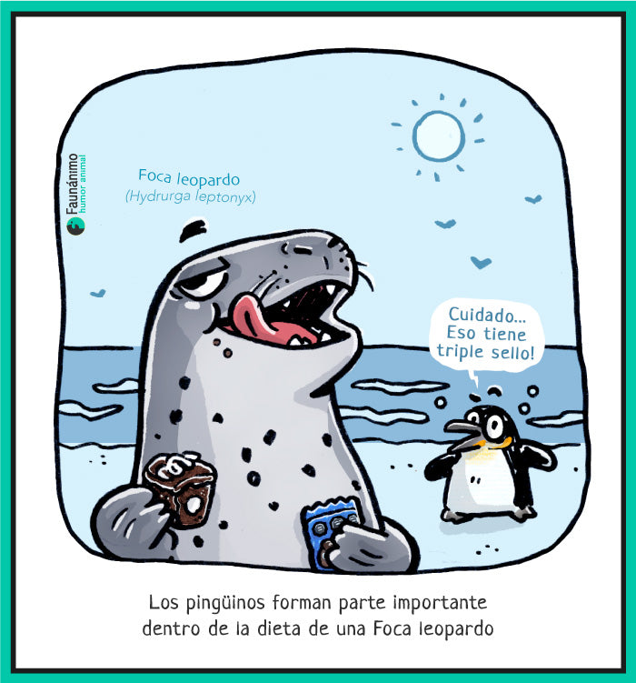 Foca leopardo come pinguino