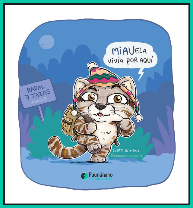 Gato Andino en El Maule