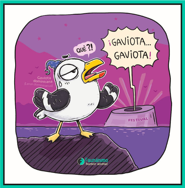 Gaviota en viña