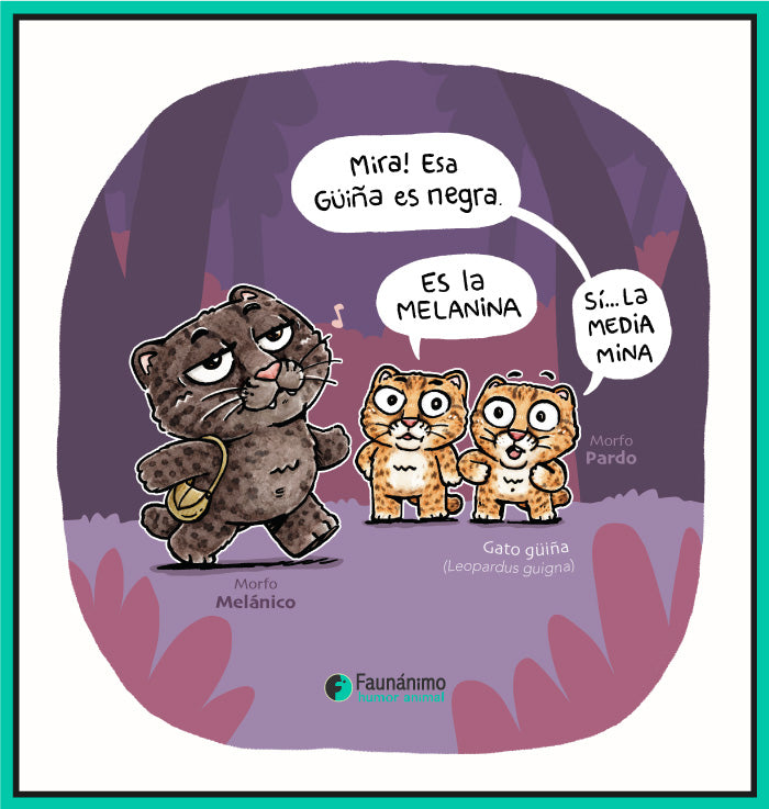 Gata media mina