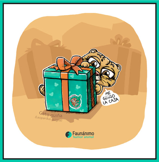 Guiña y regalo