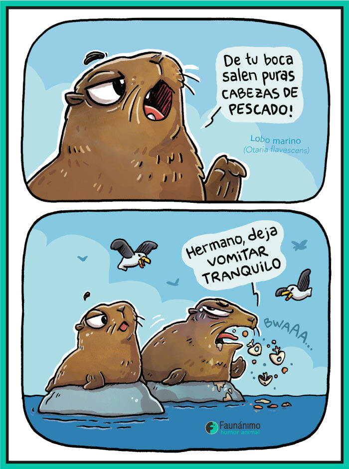 Cabezas de pescado