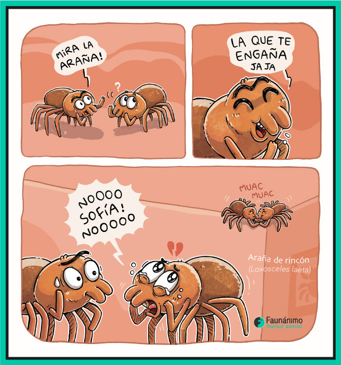 Mira la araña