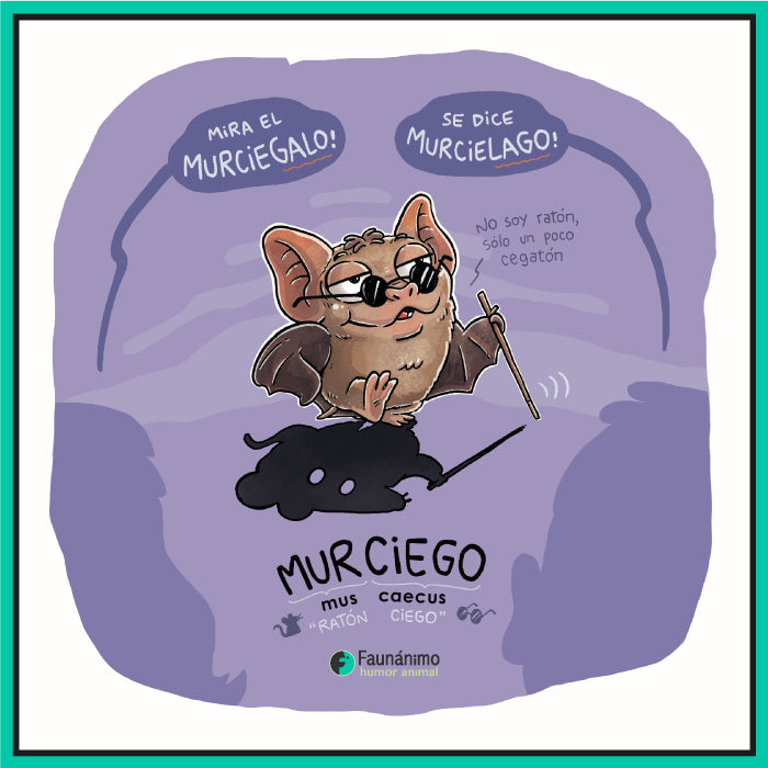 Murciego